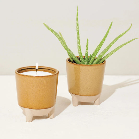 Two orange pots, one with a candle and the other with a aloe plant.