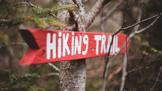 Single best trails to hike in each state