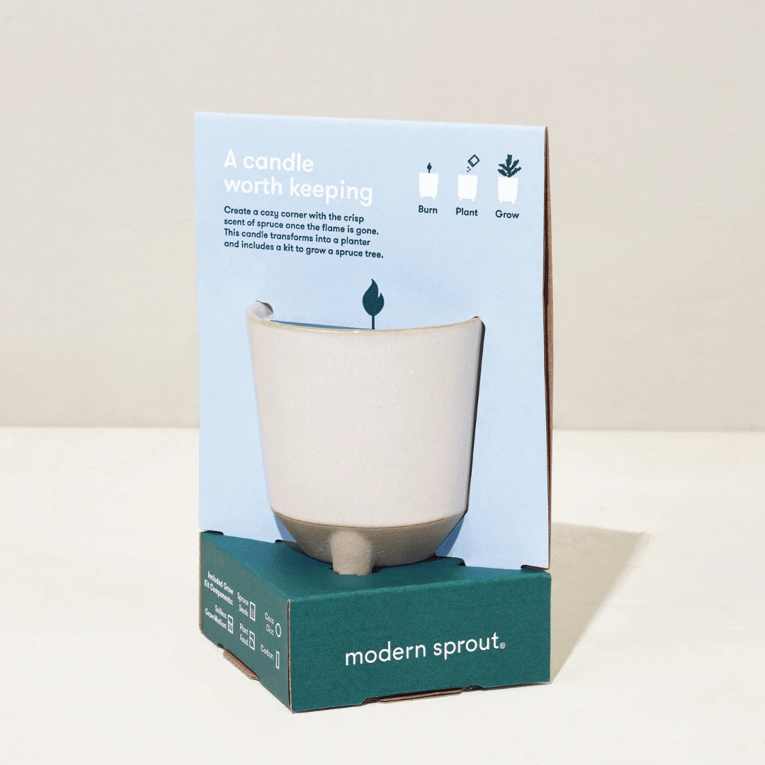 White Glow and Grow pot in packaging.