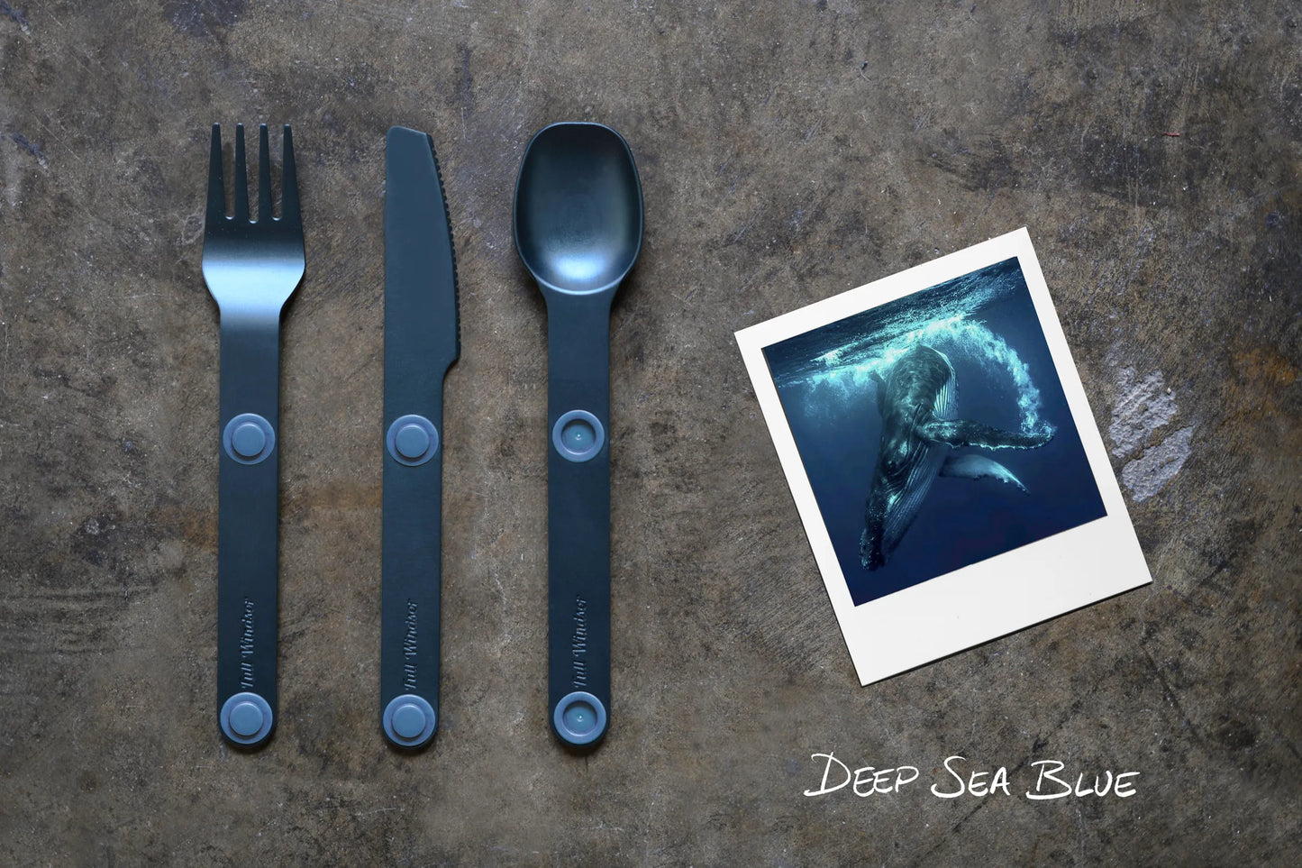 Blue fork, spoon and knife next to a picture of a whale.