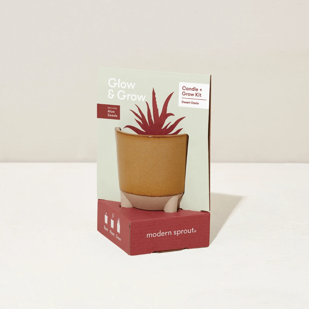Orange Glow and Grow pot in package.