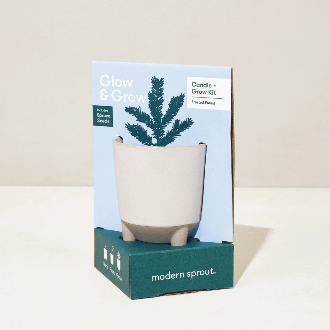 White Glow and Grow pot in packaging.