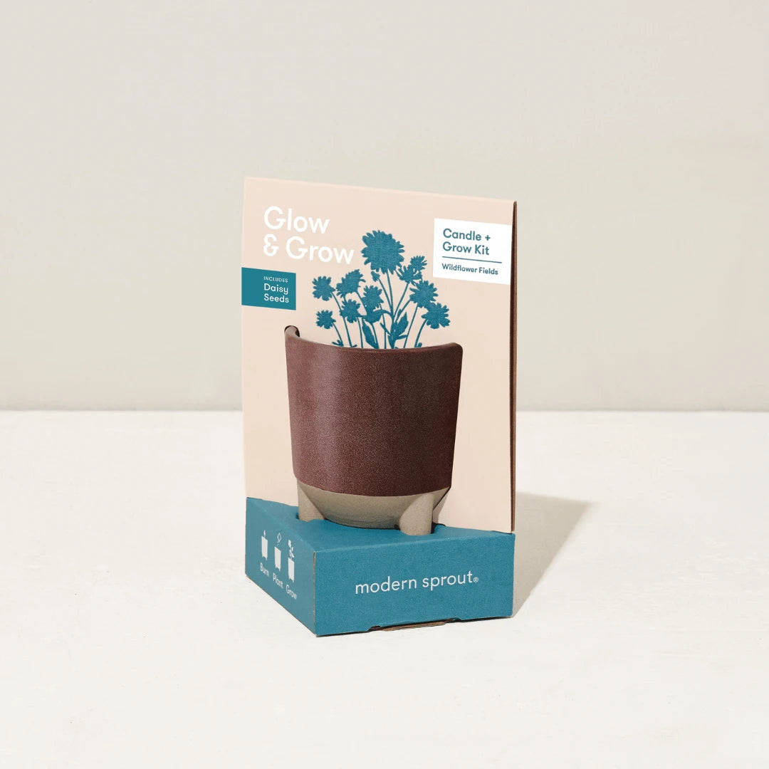 Red Glow and Grow pot in packaging.