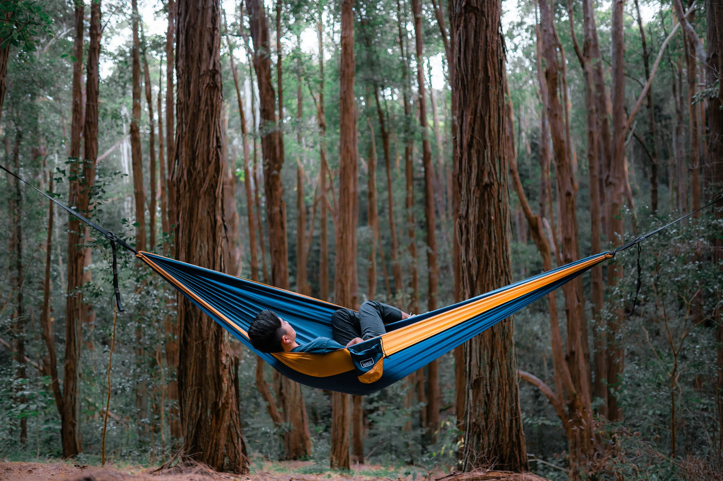 Man laying in a blue and orange hammock in the forest.