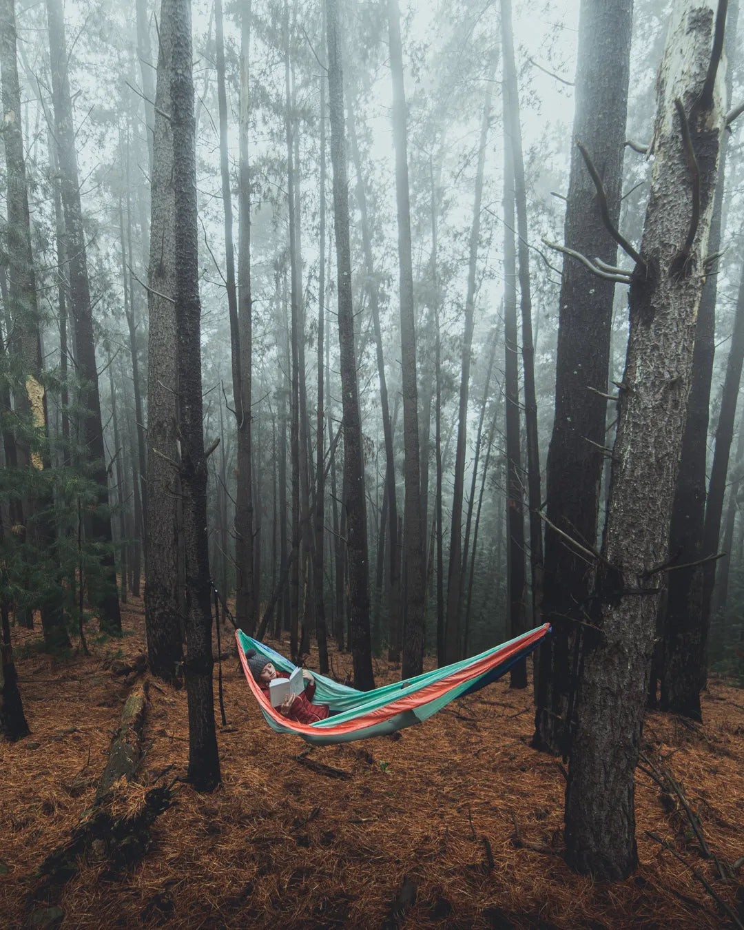 Woman laying and reading in a sku blue hammock in the woods.