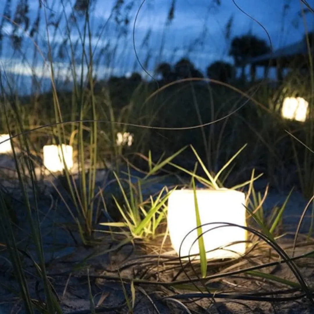 Many lanterns sitting on a grassy beach.