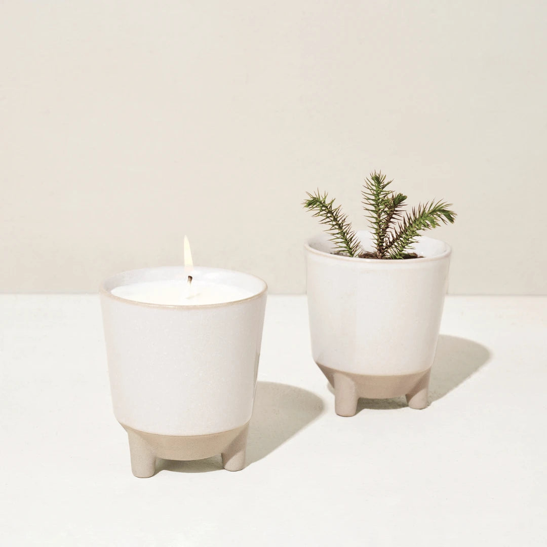 Two white pots, one with a candle and the other with a spruce.